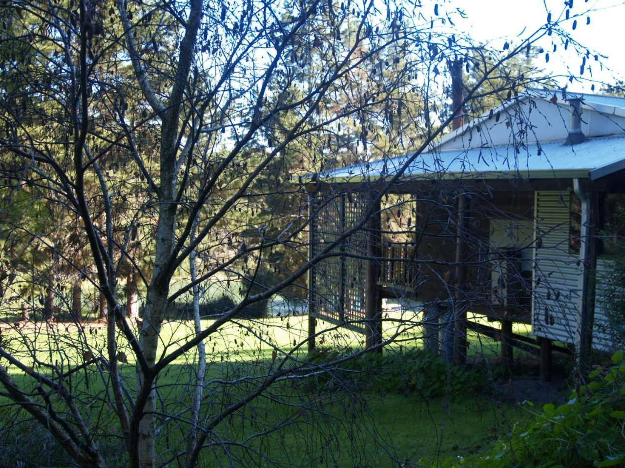 Hawke Brook * Pemberton