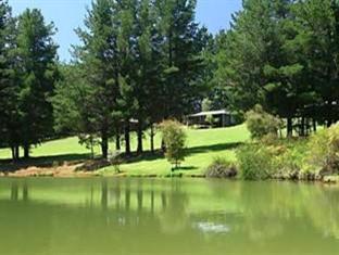 Hawke Brook Pemberton
